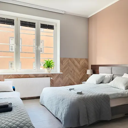 Comfy With Cinema Projector, Cracow's Heart *